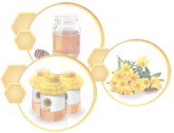 Разнотравье луговое | Мёд | Ярмарка мёда. Купить, продать, обменять.