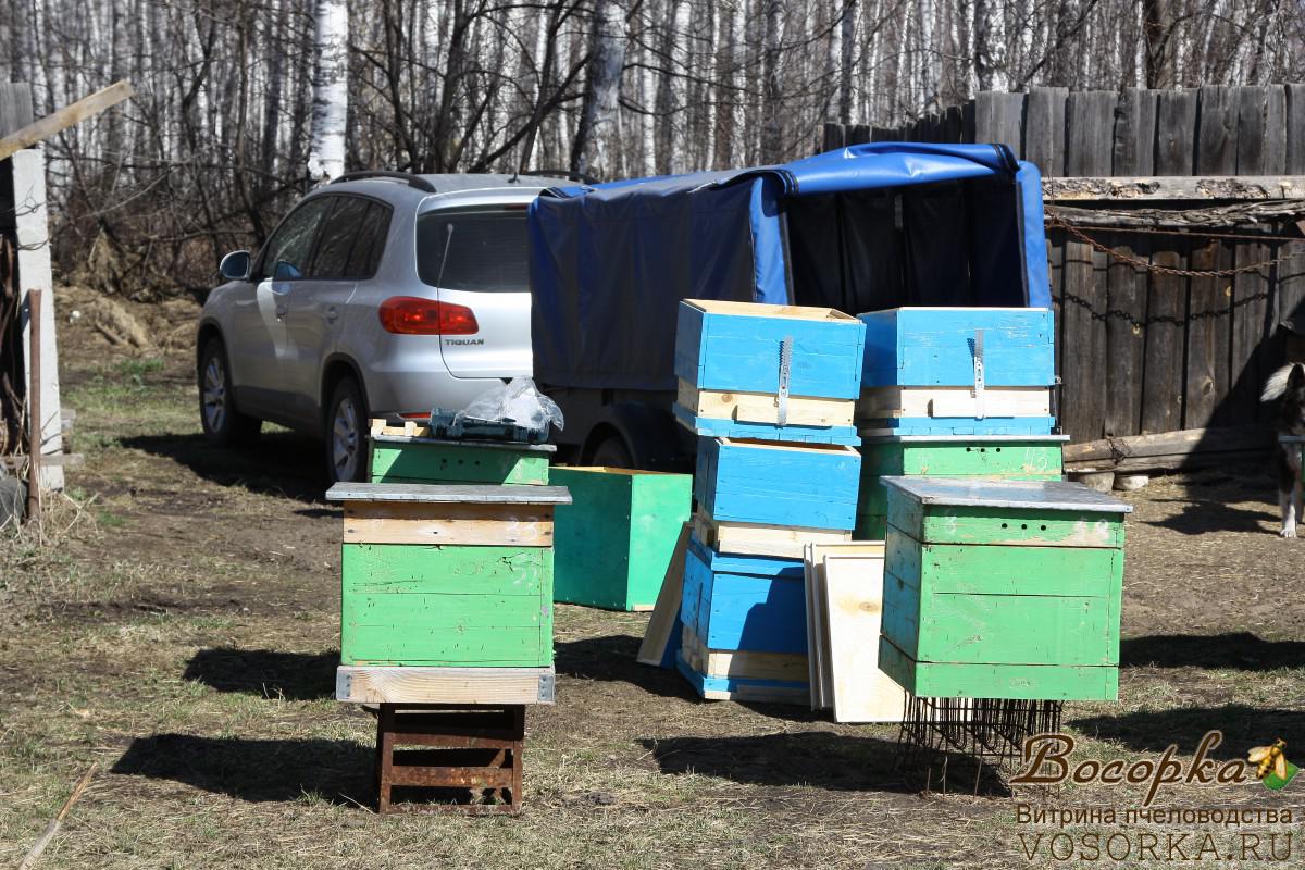 Купить пчелосемьи в белгородской области. Ульи синие. Синий улей. Голубой улей. Синий Уле.