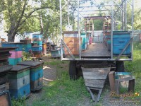 Пчёловодная платформа